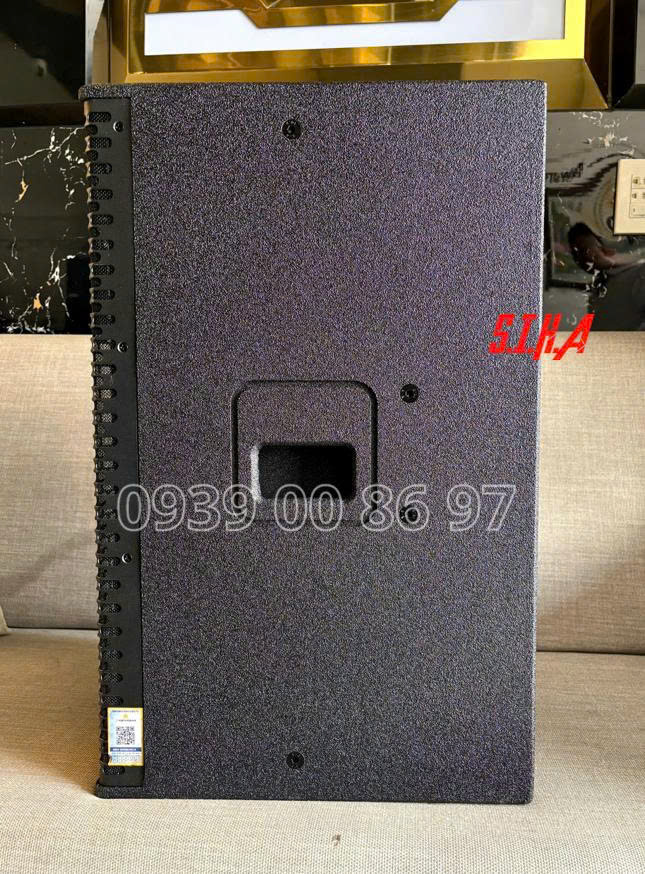 loa cavs d12 pro (1)